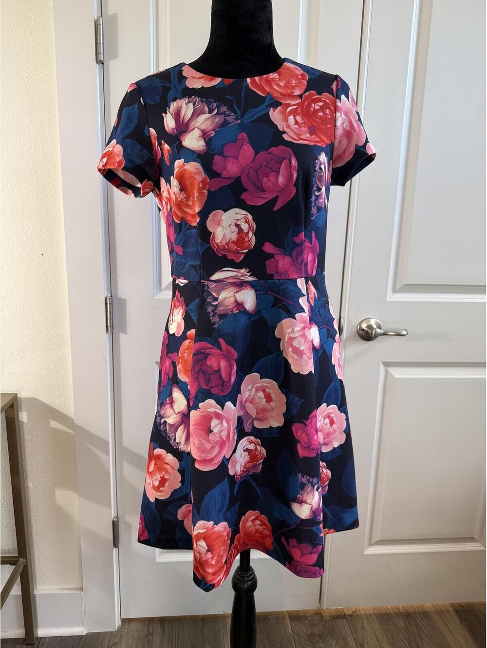 Eliza J navy and floral scuba dress sz 6